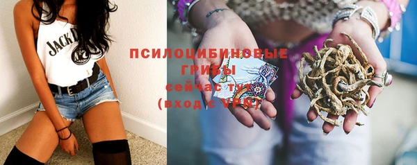 молекула духа Алексин