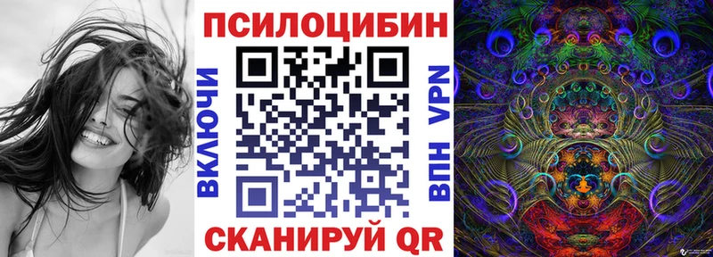 Псилоцибиновые грибы Psilocybine cubensis  Чехов 